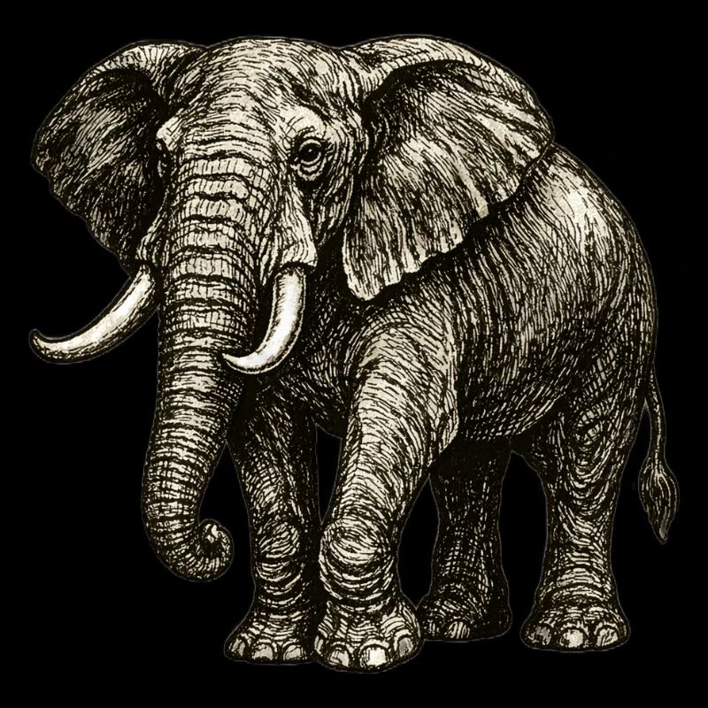 Vintage Elefant Illustration – Kraft & Natur