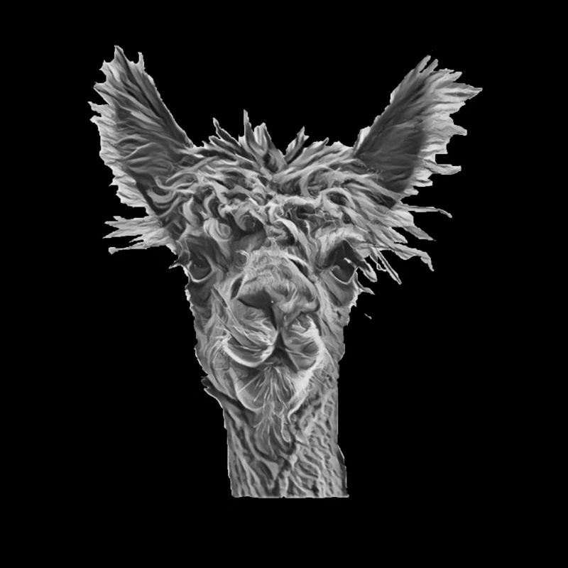 Alpaca Black White