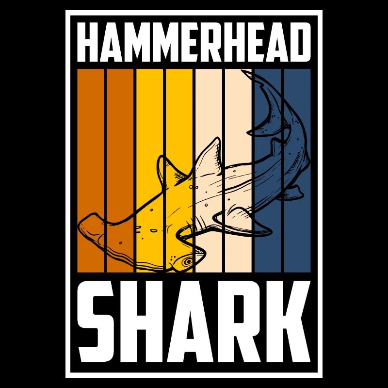 Shark Shark Fin Sailing Predatory Fish