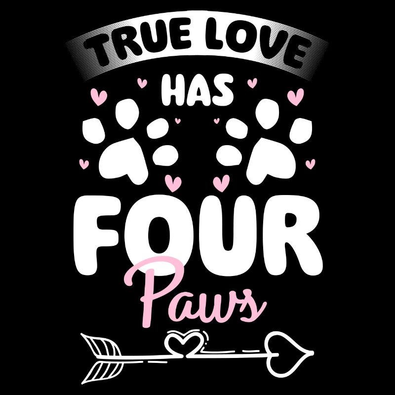 Chat persan Lady Cat Lover