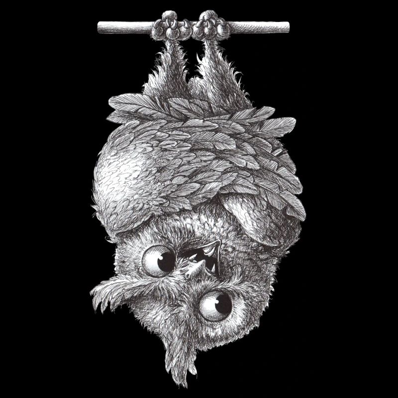 Vampire Owl - Dracula Owl