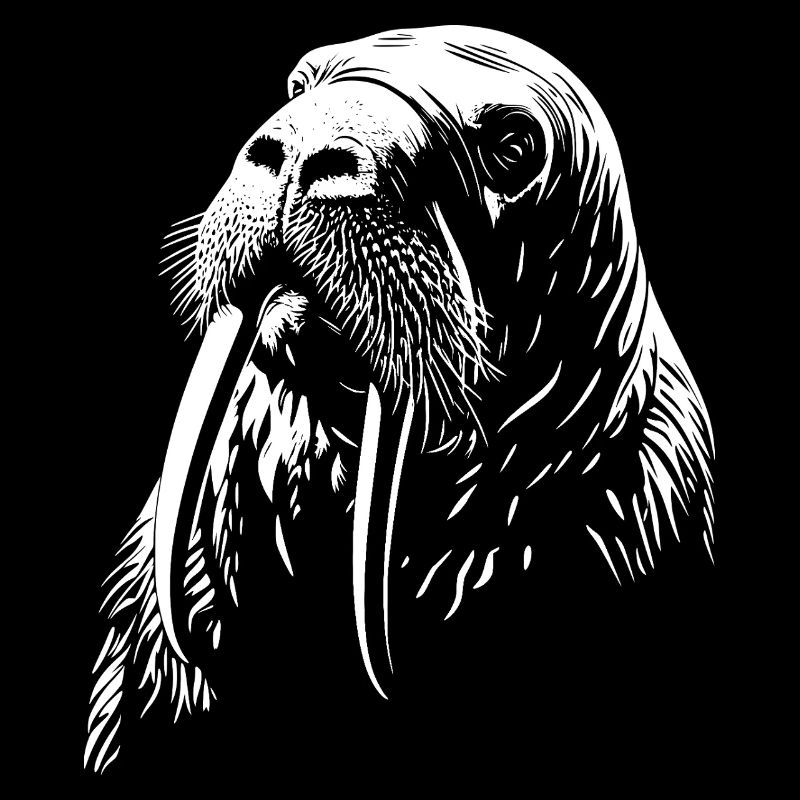 Walrus