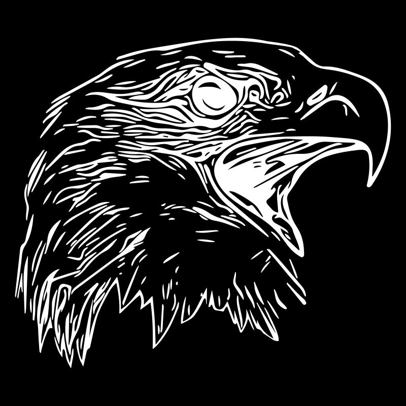 Adler Kopf - Königlicher Vector Greifvogel