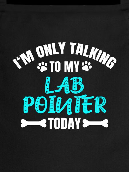 Lab Pointer