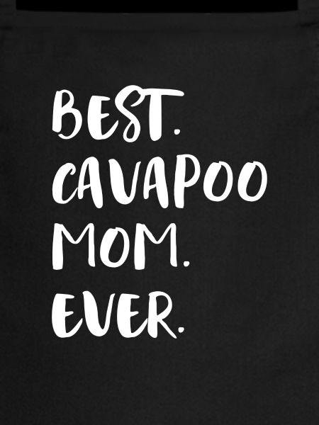 Cavapoo Cavoodle