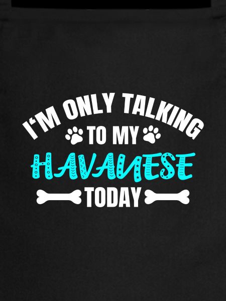 Bichon havanais
