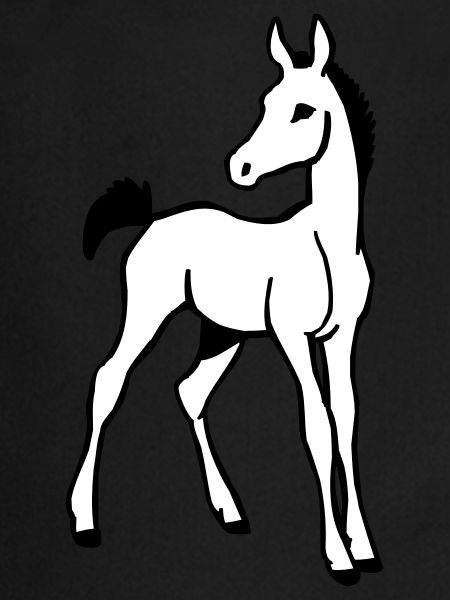 Foal