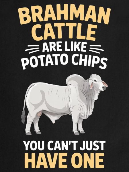 Don des vaches Brahman