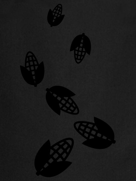 Symbole du maïs