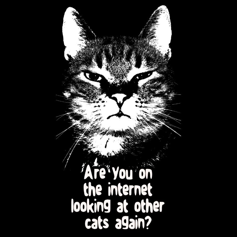 Internet-Katze