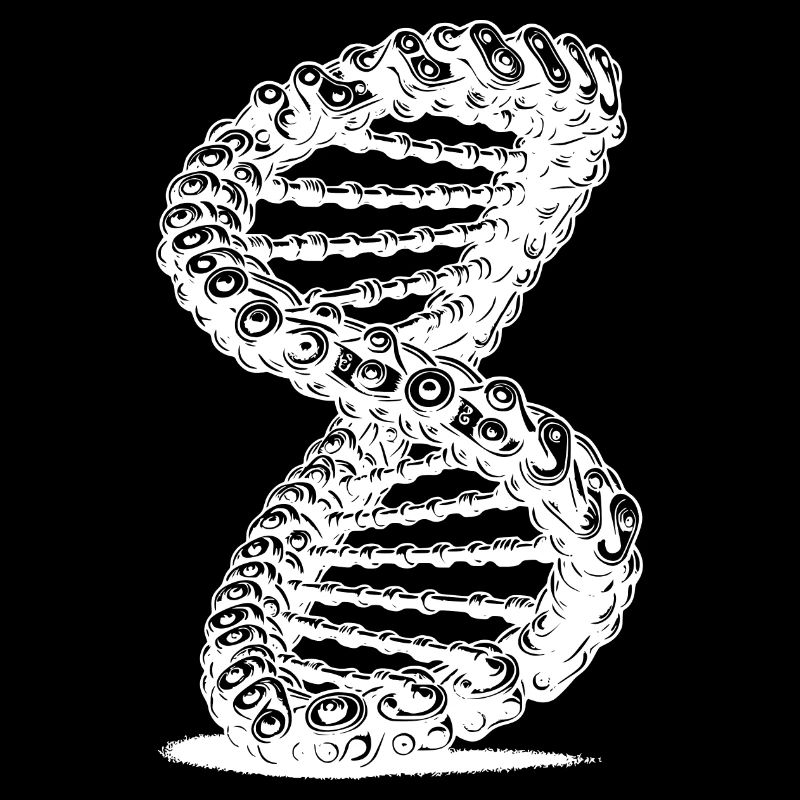 Twisted Möbius Loop Chain DNA Möbius Ribbon