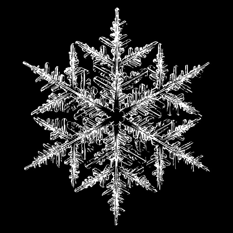 snowflake 5 white