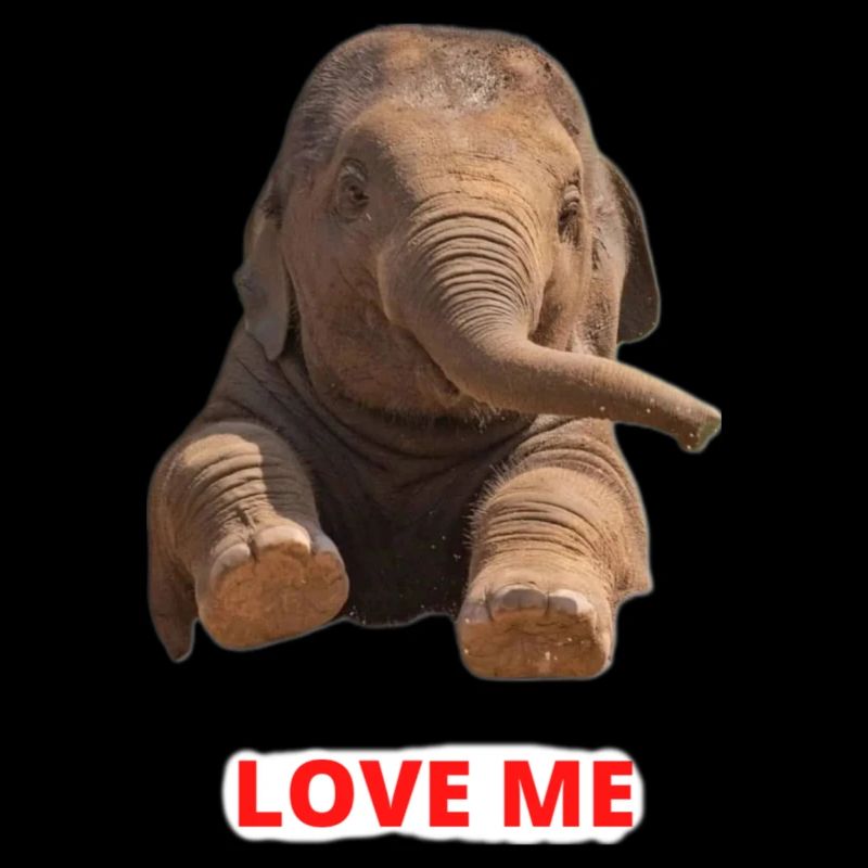 Elefant