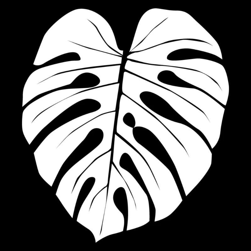 Monstera
