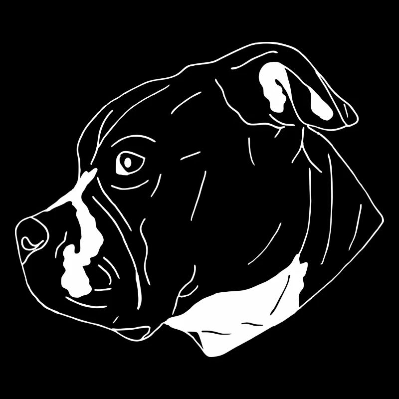 American Bully