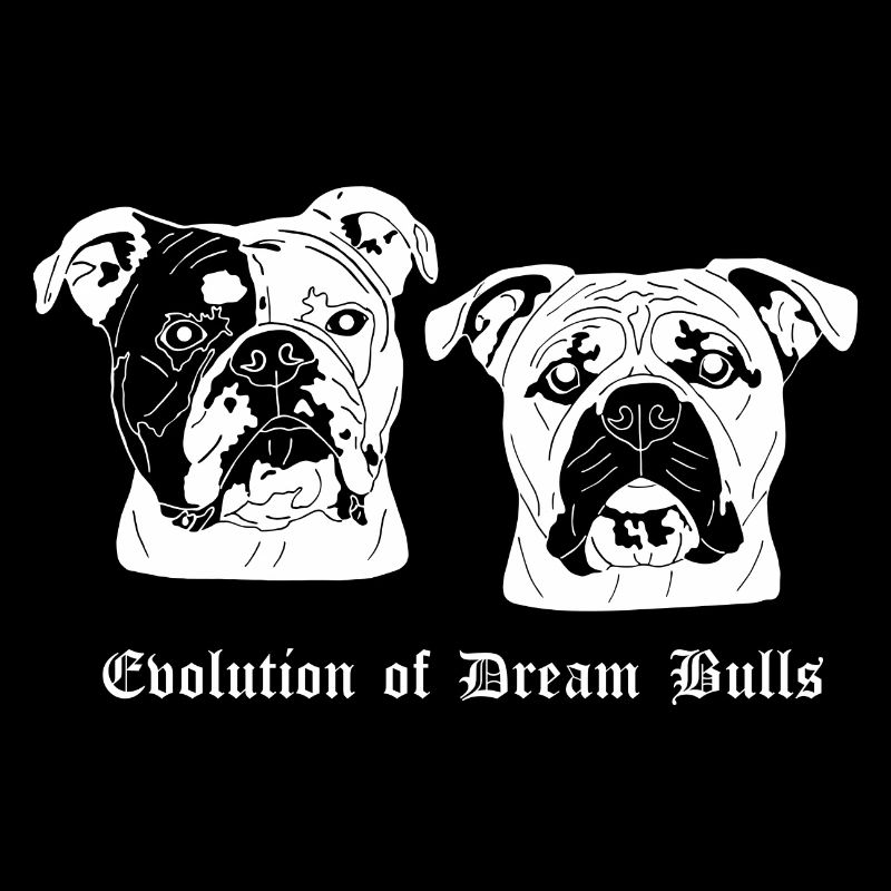 Evolution of Dream Bulls