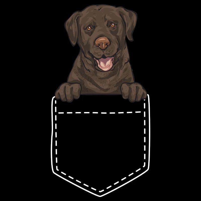 Chien Labrador Retriever brun chocolat