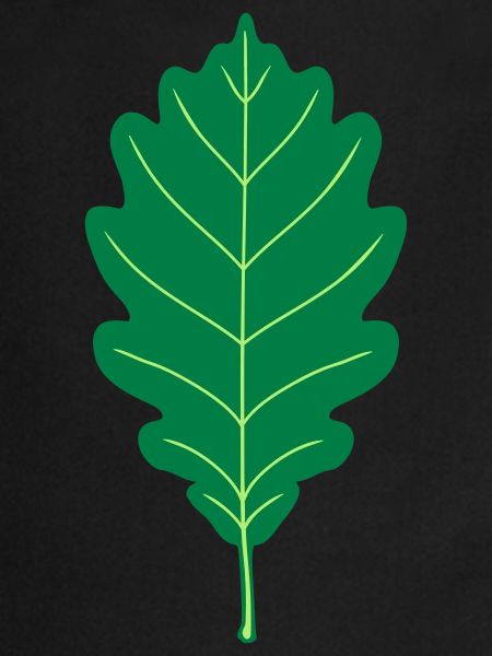 Oak Leaf