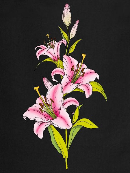 Lily