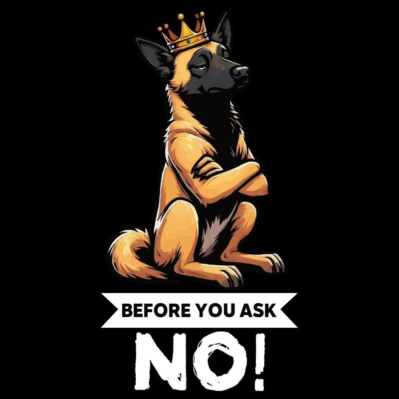 Before You Ask Malinois Belgischer Schäferhund 