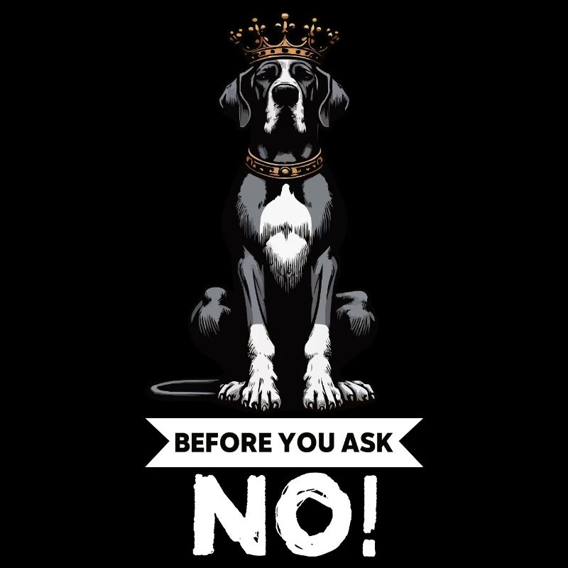 Before You Ask Great Dane Great Dane Owner