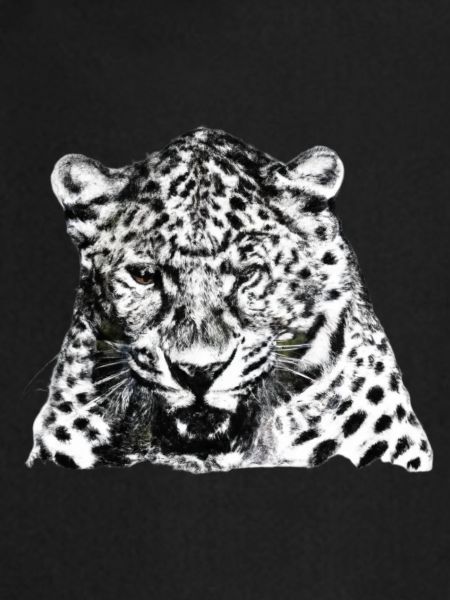Tigre