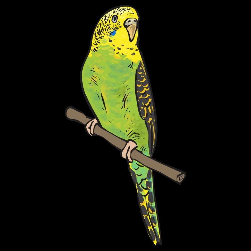 Budgerigar Perruche Oiseau Cadeau pour animaux de compagnie