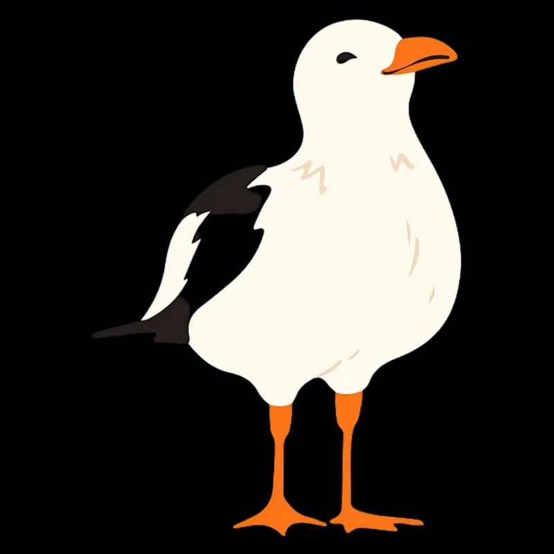 Mouette