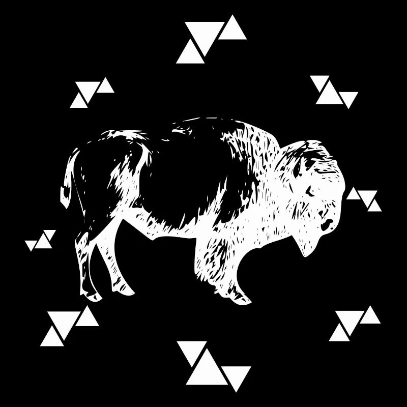 Bison - Büffel