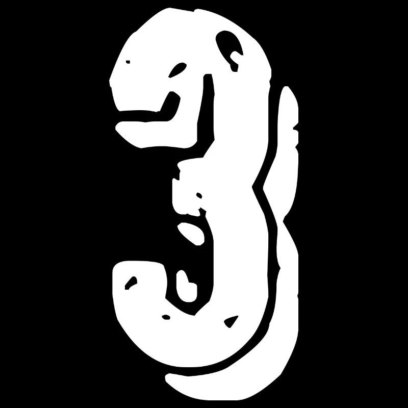 Maillot numéro 3