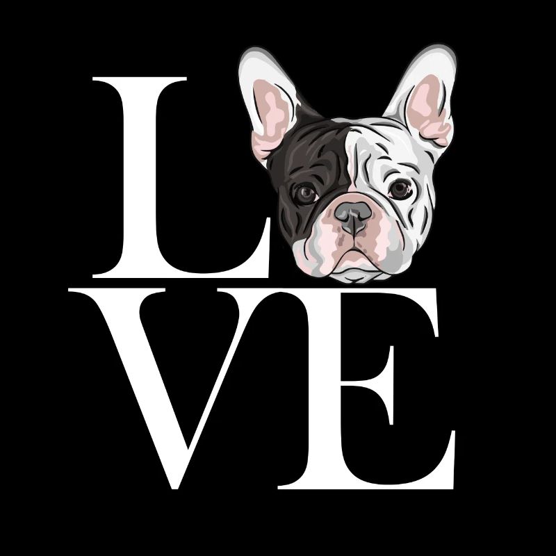 franz Bulldogge white