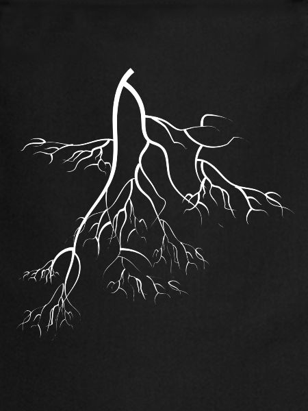 root