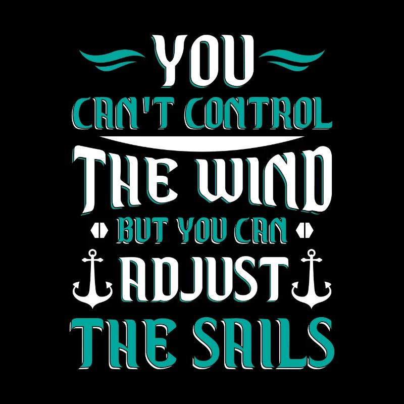 You can't control the wind you adjust the sails