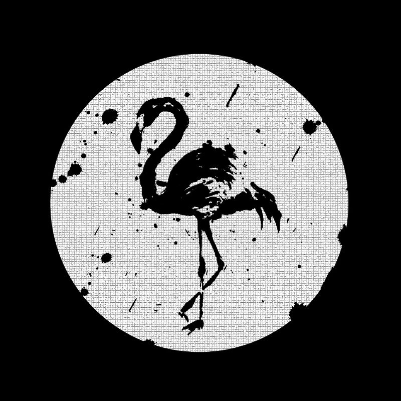 Flamant noir et blanc