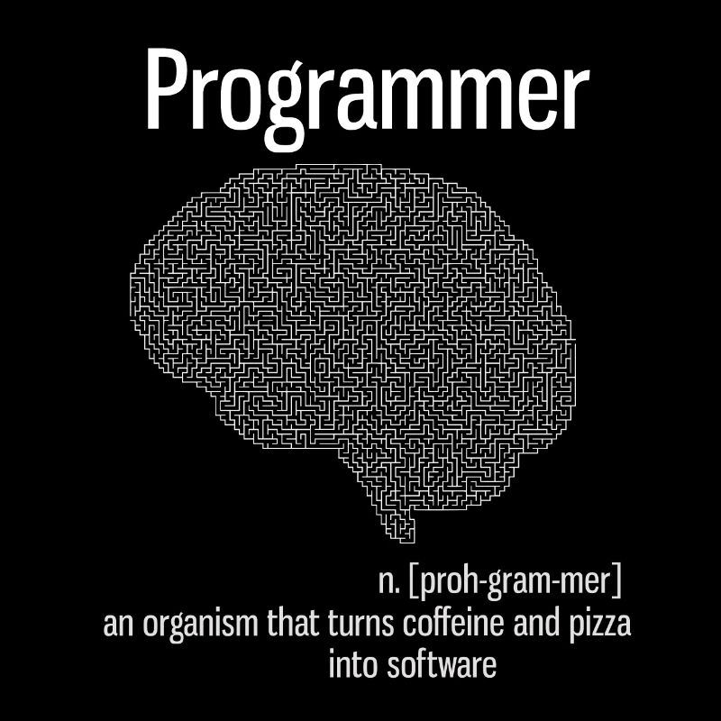 Programmeur cerveau PC ordinateur définition pizza lo