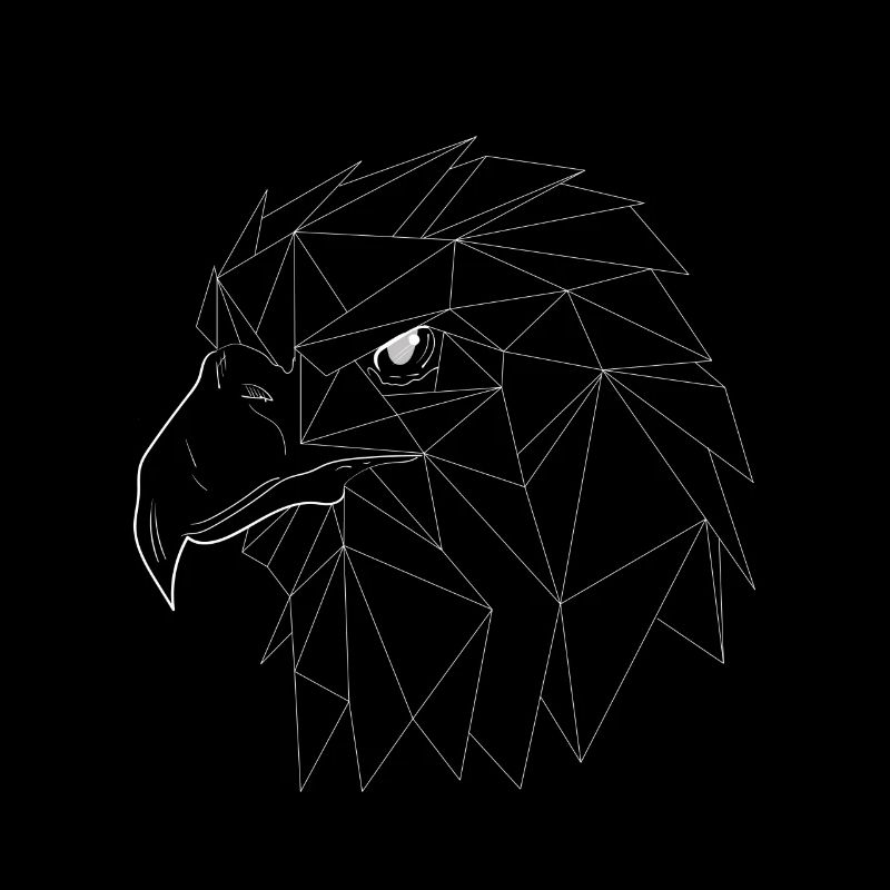 Oiseaux Oiseaux Aigles Géométrie Triangles