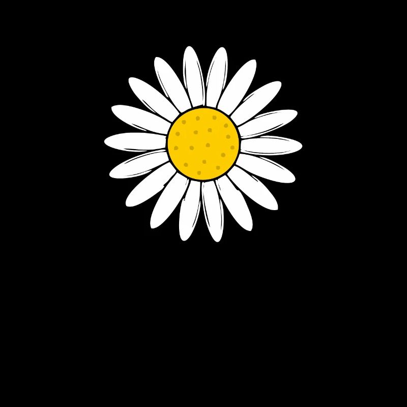 Gänseblümchen Blume