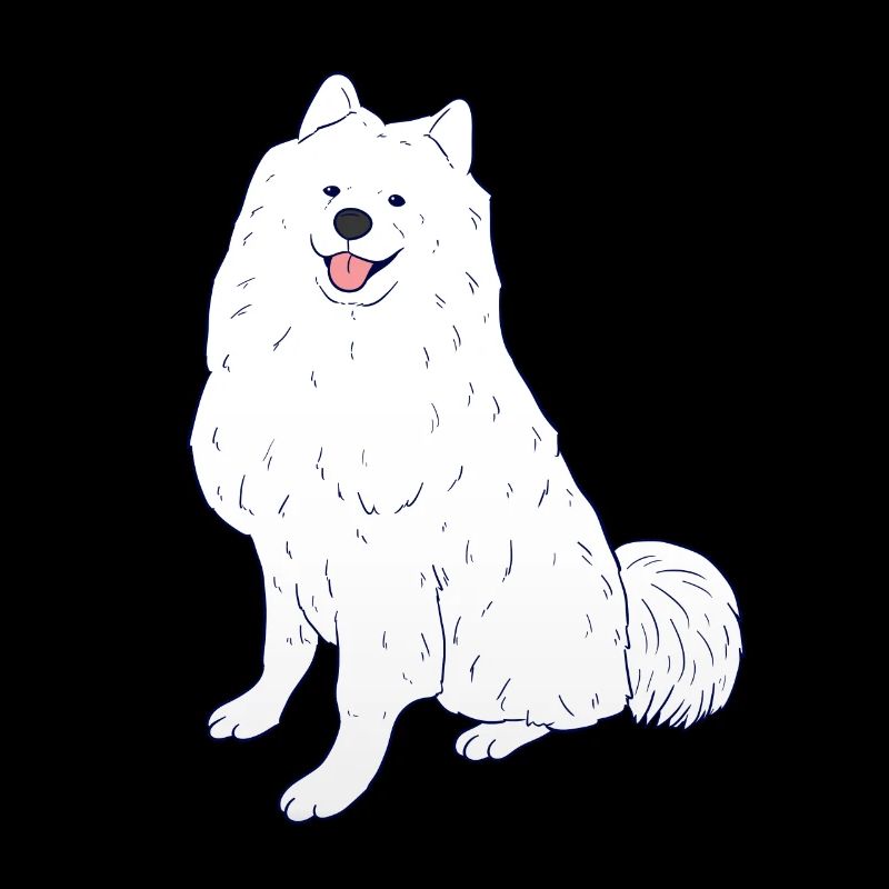 samoyède