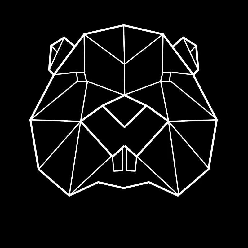 Beaver polygon