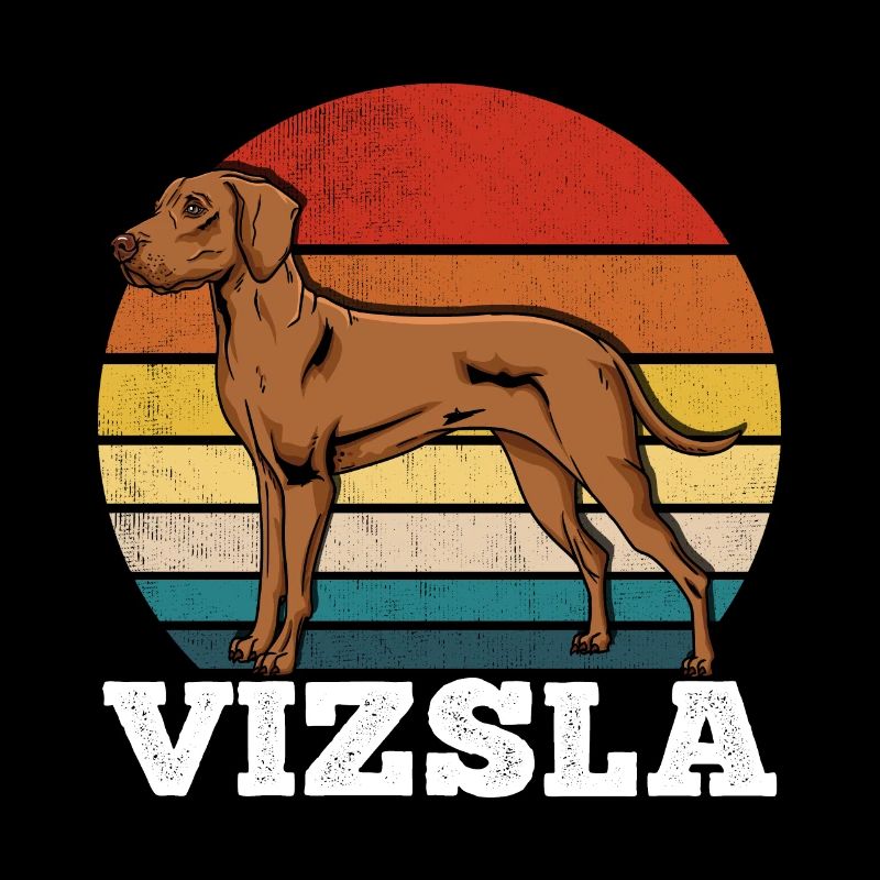 Vizsla Rétro