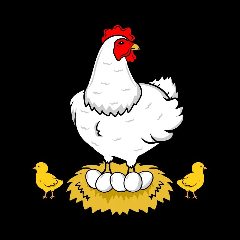 Chicken hen rooster eggs