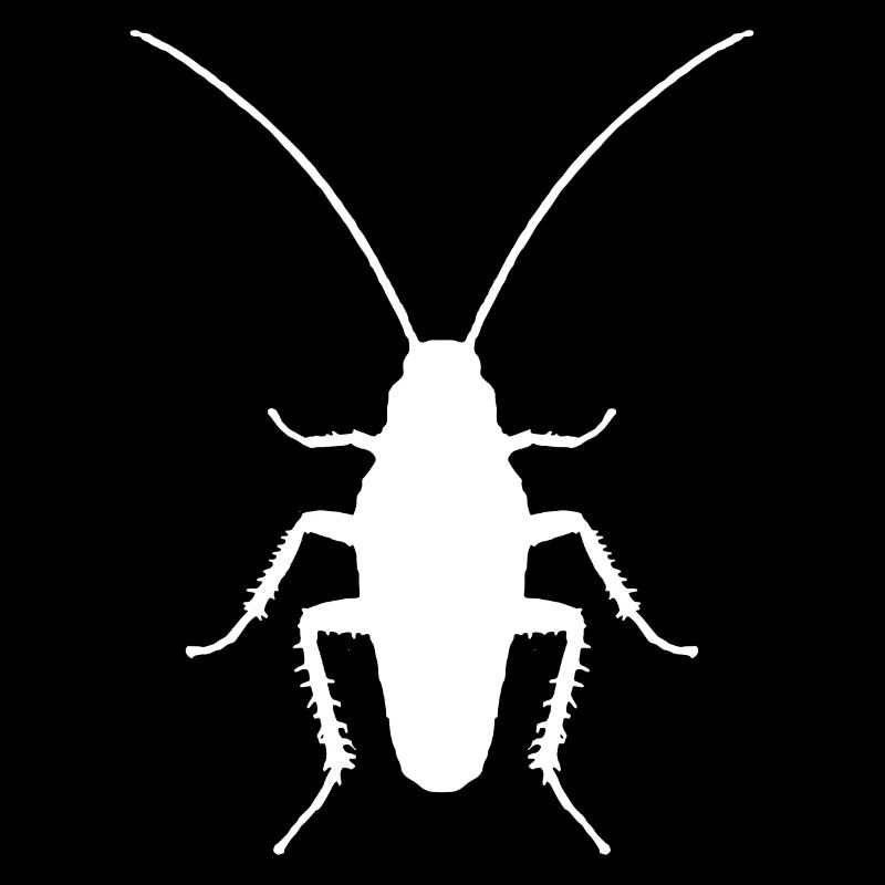 Cockroach insect entomologist