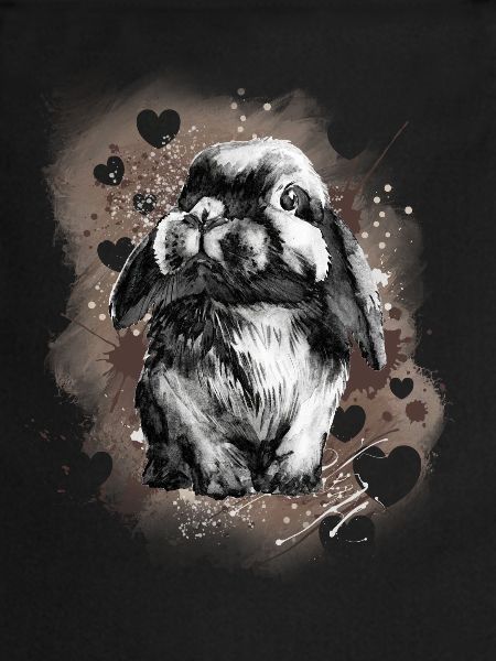 Lapin lapin