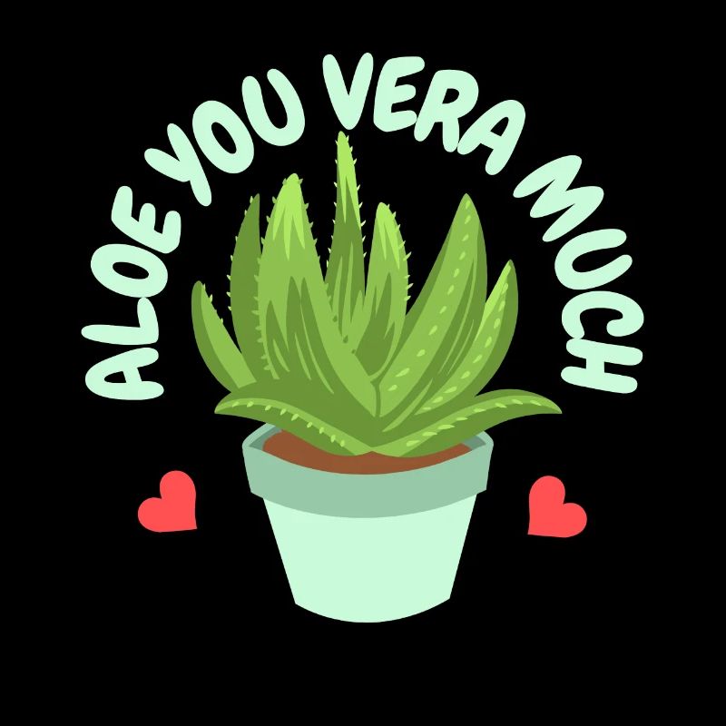 Aloe Vera Succulents