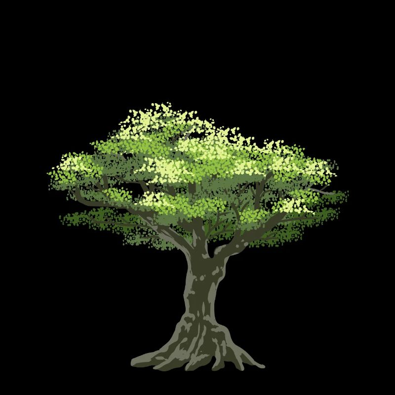 Olive tree Olive tree Greece Nature harvest