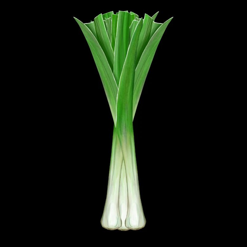 Leek Vegetable Harvest Garden Leek Onions Kitchen