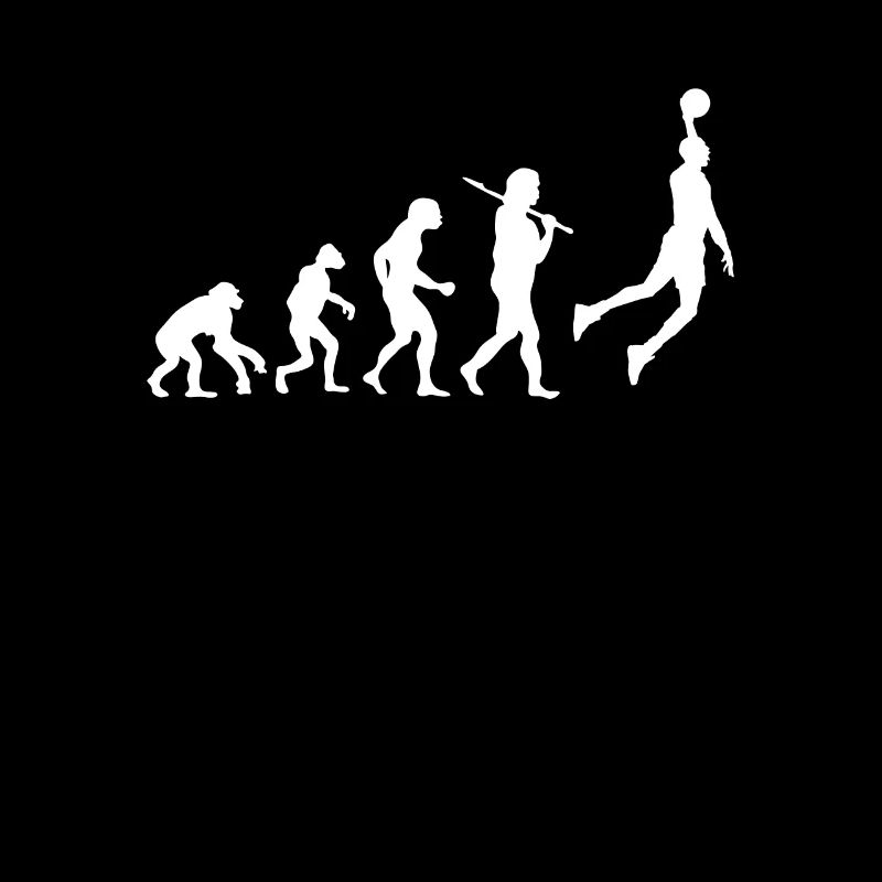 Evolution Basketball