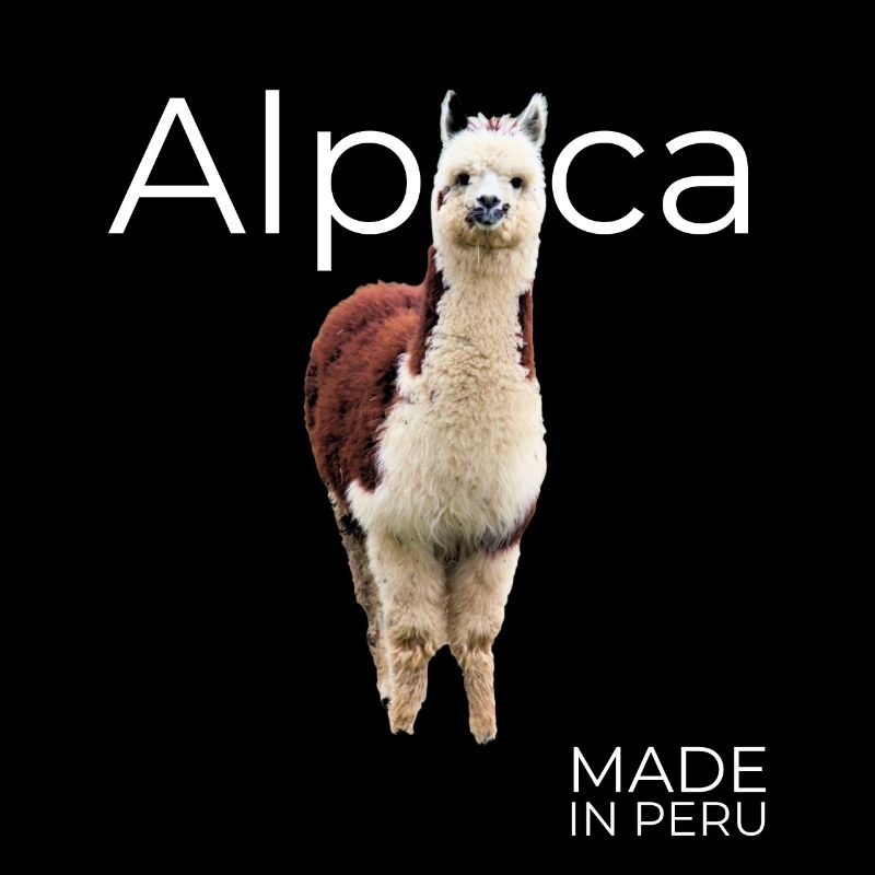 Alpaca Peru