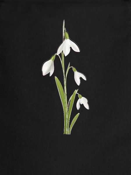 Perce-neige