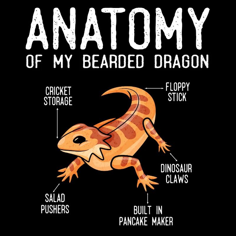 Anatomie Eines Bärtigen Drachen